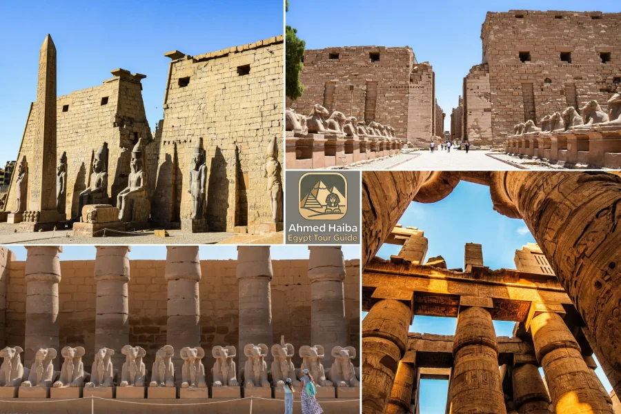 East luxor day tour 2
