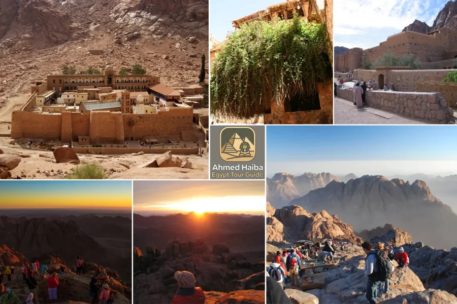Mount sinai tour 2