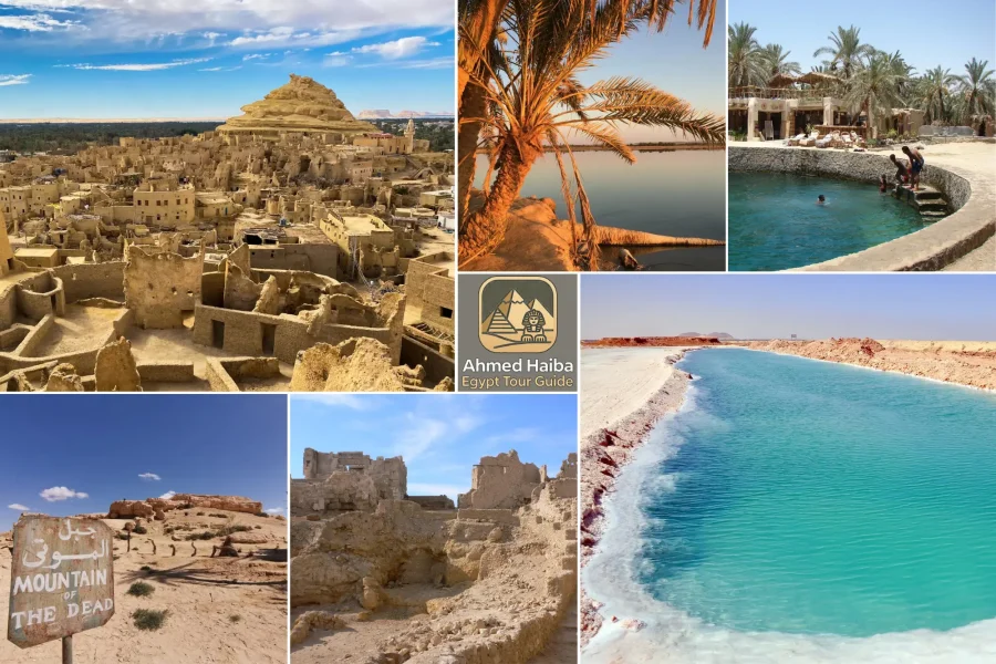Siwa oasis tour 2