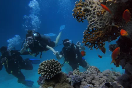 Discover the Red Sea: Unveil the Secrets Beneath Its Waves