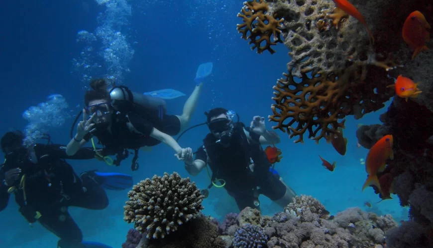 Discover the Red Sea: Unveil the Secrets Beneath Its Waves